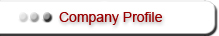 Company Profile